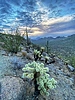 photo thumbnail #15