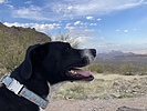 photo thumbnail #2