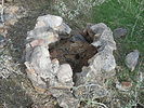 photo thumbnail #7