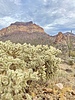 photo thumbnail #4