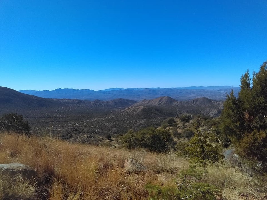 Ruby AZ California Gulch Photo 2 • HikerWill • 20210207