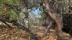 photo thumbnail #15