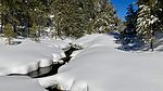 photo thumbnail #13