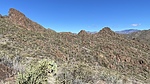 photo thumbnail #3