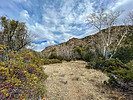 photo thumbnail #10
