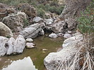 photo thumbnail #7