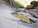 photo thumbnail #11