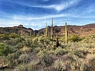 photo thumbnail #5