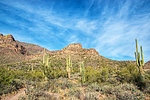 photo thumbnail #6