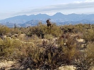photo thumbnail #3