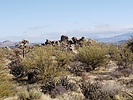 photo thumbnail #6