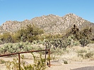 photo thumbnail #8