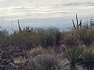 photo thumbnail #11