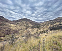 photo thumbnail #10