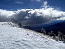 photo thumbnail #8