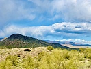 photo thumbnail #4