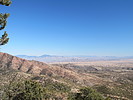 photo thumbnail #2