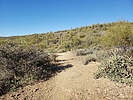 photo thumbnail #1