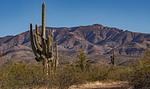 2021-02-19 :1: 4x4 Scenic Drive to Thompson Mesa - S. Ancha :: Oregon_Hiker