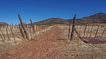 2021-02-19 :1: 4x4 Scenic Drive to Thompson Mesa - S. Ancha :: Oregon_Hiker