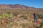 2021-02-19 :3: 4x4 Scenic Drive to Thompson Mesa - S. Ancha :: Oregon_Hiker