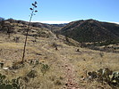 photo thumbnail #10