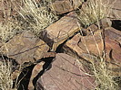 photo thumbnail #12