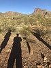 photo thumbnail #10