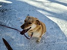 photo thumbnail #2