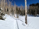 photo thumbnail #3