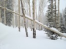 photo thumbnail #7
