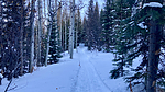 photo thumbnail #4