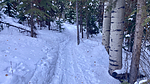 photo thumbnail #3