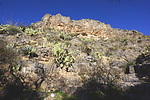 photo thumbnail #6