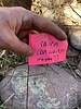 photo thumbnail #8