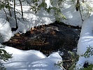 photo thumbnail #13