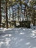 photo thumbnail #15