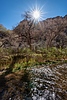 photo thumbnail #12
