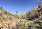 photo thumbnail #15