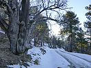 photo thumbnail #7