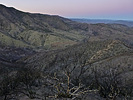 photo thumbnail #8