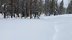 photo thumbnail #3