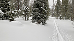 photo thumbnail #7