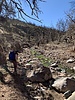 photo thumbnail #4