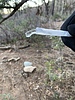 photo thumbnail #6