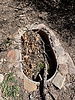 photo thumbnail #15