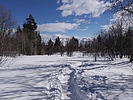 photo thumbnail #6