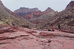 recent photo