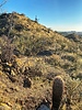 photo thumbnail #11
