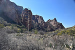photo thumbnail #3